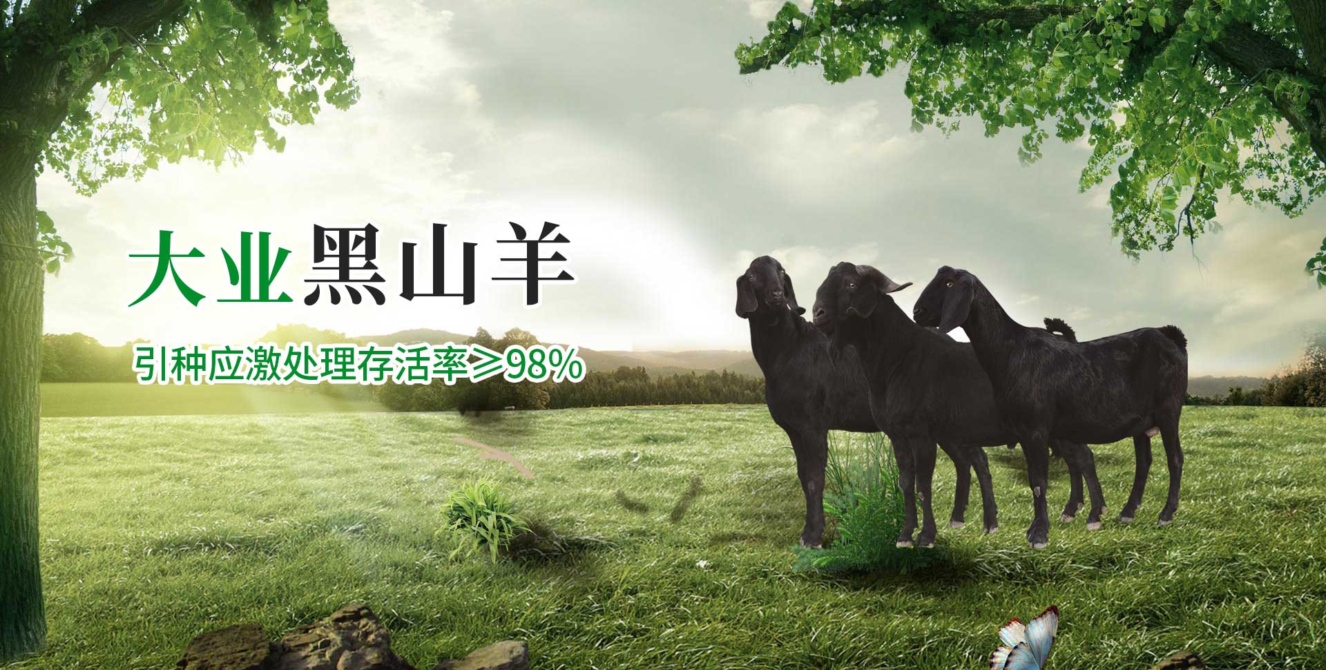 濟(jì)寧明輝電器有限公司